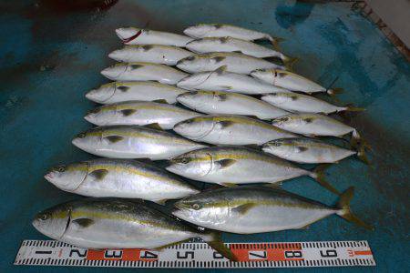 アジアマリンサービス 釣果