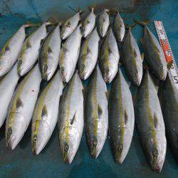 アジアマリンサービス 釣果