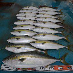 アジアマリンサービス 釣果