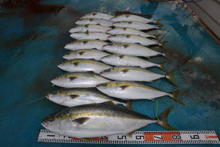 アジアマリンサービス 釣果