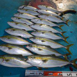 アジアマリンサービス 釣果