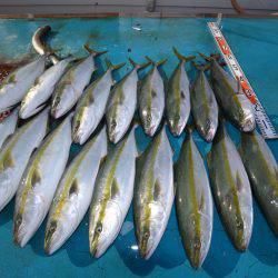 アジアマリンサービス 釣果