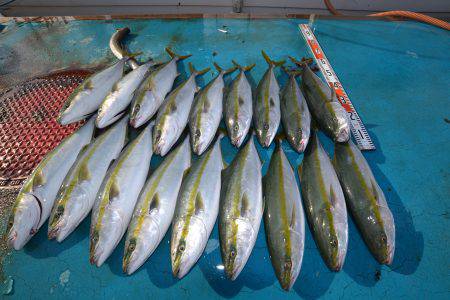 アジアマリンサービス 釣果