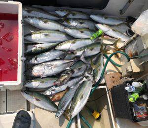 さぶろう丸 釣果