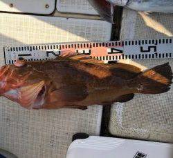 さぶろう丸 釣果