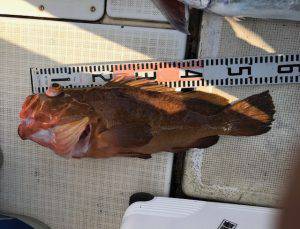 さぶろう丸 釣果