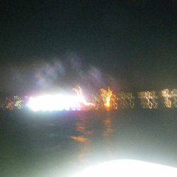 磯部釣船 直栄丸 釣果