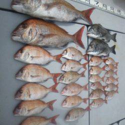 磯部釣船 直栄丸 釣果