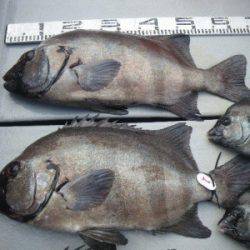 磯部釣船 直栄丸 釣果