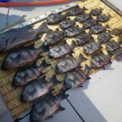 磯部釣船 直栄丸 釣果