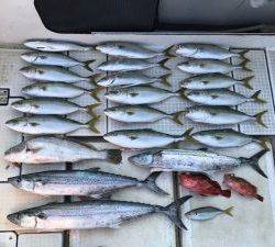 さぶろう丸 釣果