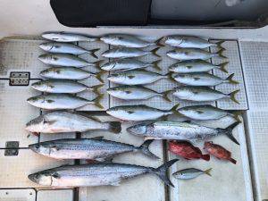 さぶろう丸 釣果