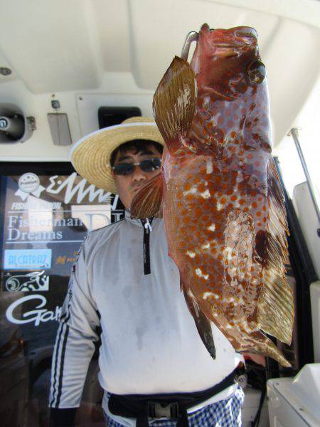 Fisherman Dreams DI 釣…