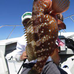 Fisherman Dreams DI 釣果