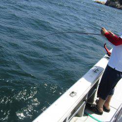 Fisherman Dreams DI 釣果