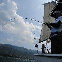 Fisherman Dreams DI 釣果