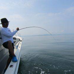 Fisherman Dreams DI 釣果