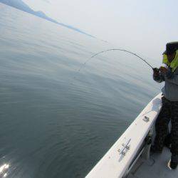 Fisherman Dreams DI 釣果