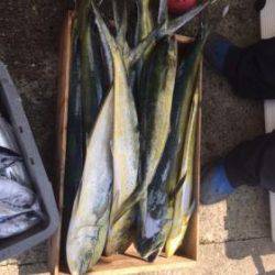 Sea Frend 片山丸 釣果