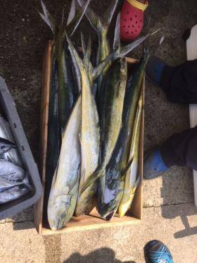 Sea Frend 片山丸 釣果