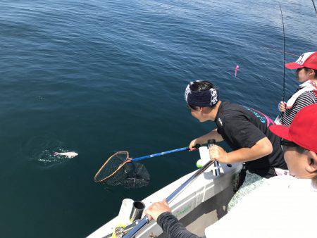 白墨丸 釣果