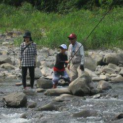 安倍川・藁科川（安倍藁科川漁業協同組合） 釣果