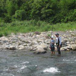 安倍川・藁科川（安倍藁科川漁業協同組合） 釣果