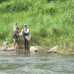 安倍川・藁科川（安倍藁科川漁業協同組合） 釣果