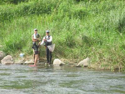 安倍川・藁科川（安倍藁科川漁業協同組合） 釣果