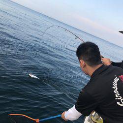 白墨丸 釣果