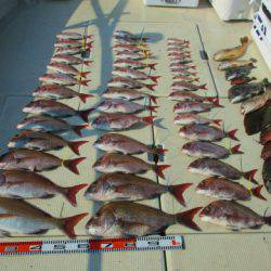 フィッシングガイド とちぎ 釣果