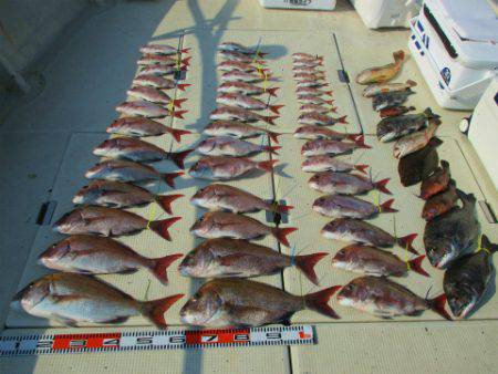 フィッシングガイド とちぎ 釣果