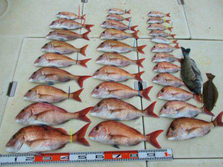 フィッシングガイド とちぎ 釣果