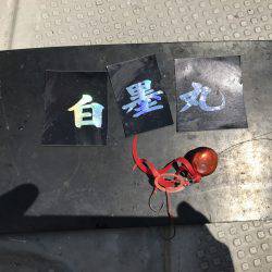 白墨丸 釣果