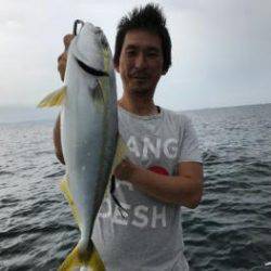 シーマジカル 釣果