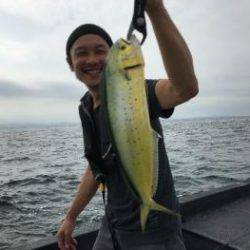 シーマジカル 釣果