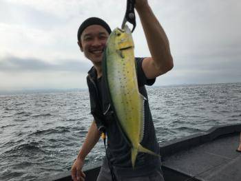 シーマジカル 釣果