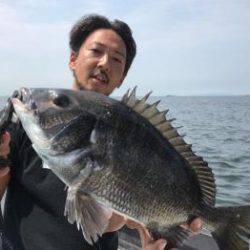 シーマジカル 釣果