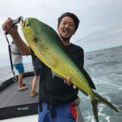 シーマジカル 釣果