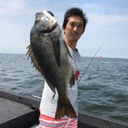 シーマジカル 釣果