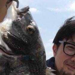 シーマジカル 釣果