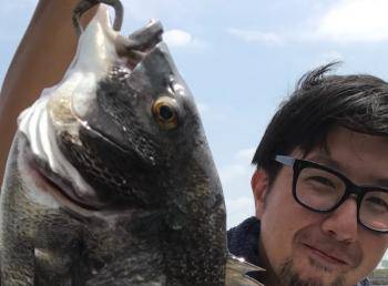 シーマジカル 釣果