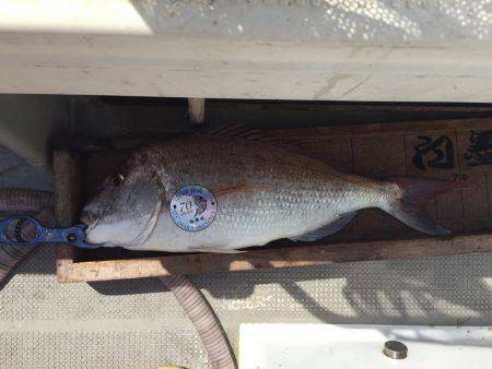 白墨丸 釣果