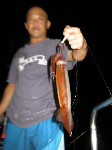 Aquanaut(アクアノート) 釣果