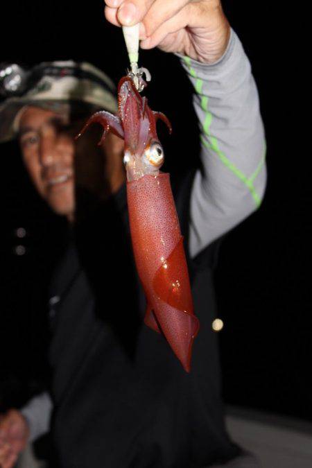 Aquanaut(アクアノート) 釣果