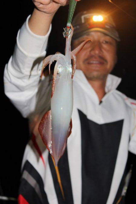 Aquanaut(アクアノート) 釣果