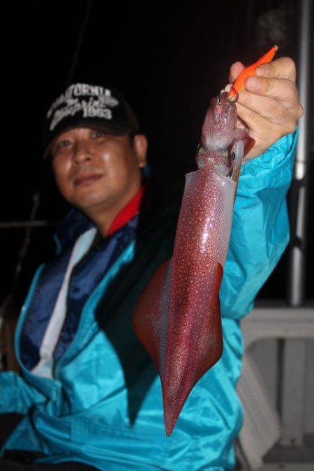 Aquanaut(アクアノート) 釣果