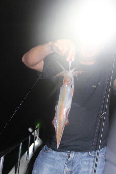 Aquanaut(アクアノート) 釣果