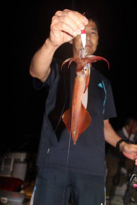 Aquanaut(アクアノート) 釣果