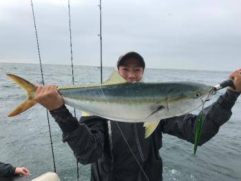 シーマジカル 釣果